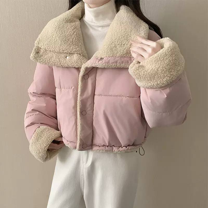 Women's Cropped Teddy Collar Puffer Jacket